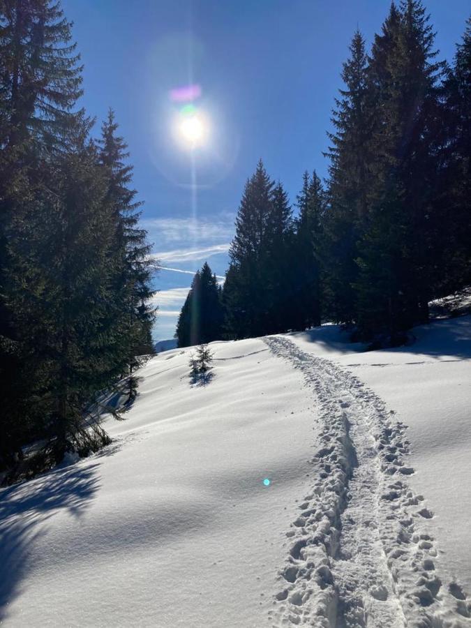 Apartment Kumitzblick Obersdorf Екстериор снимка