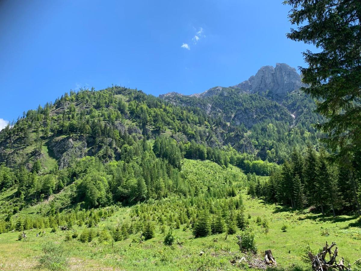 Apartment Kumitzblick Obersdorf Екстериор снимка